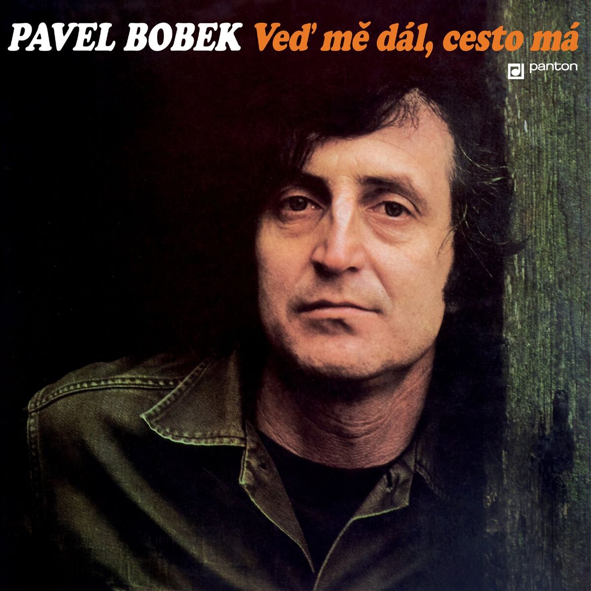 Pavel Bobek