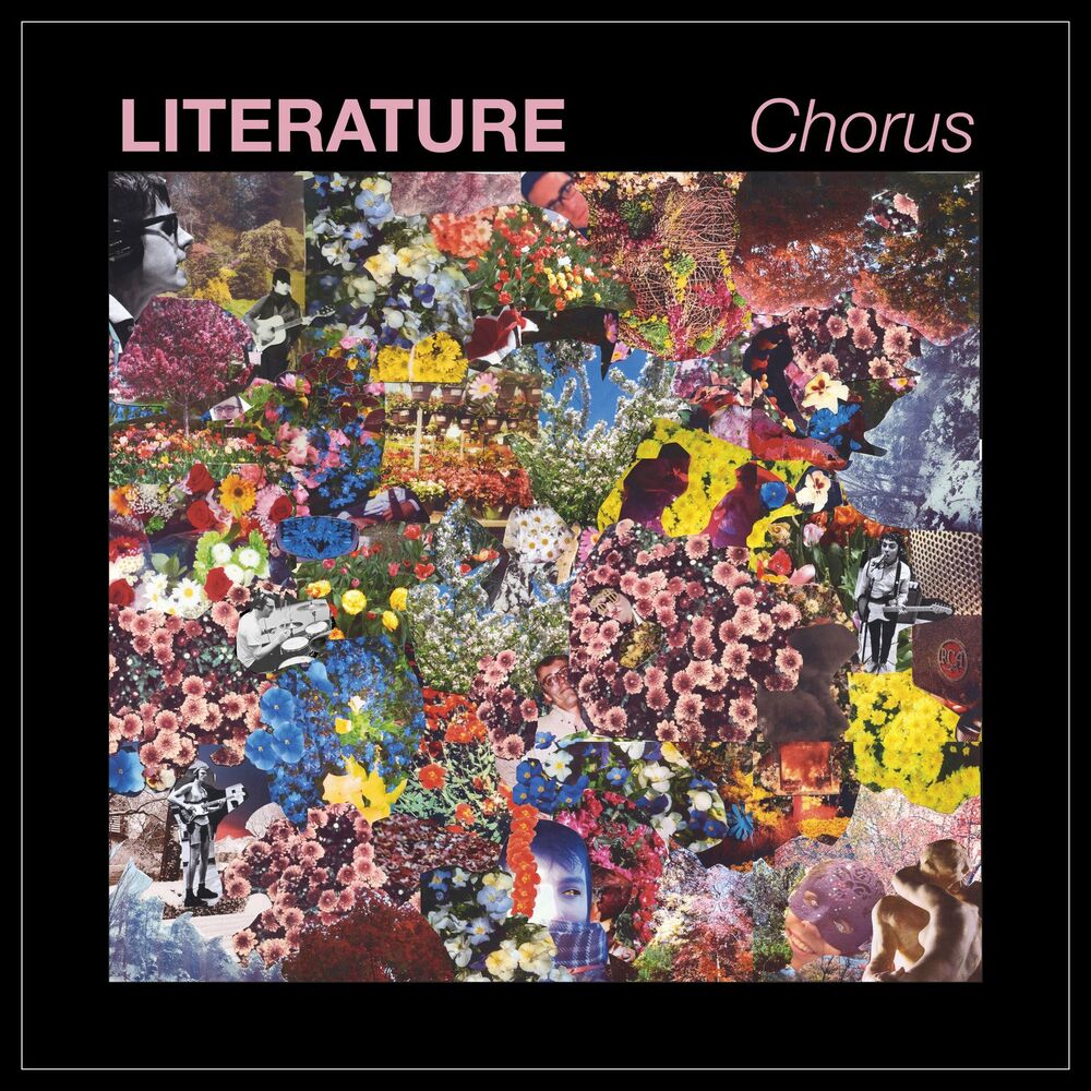 Picture of Literature