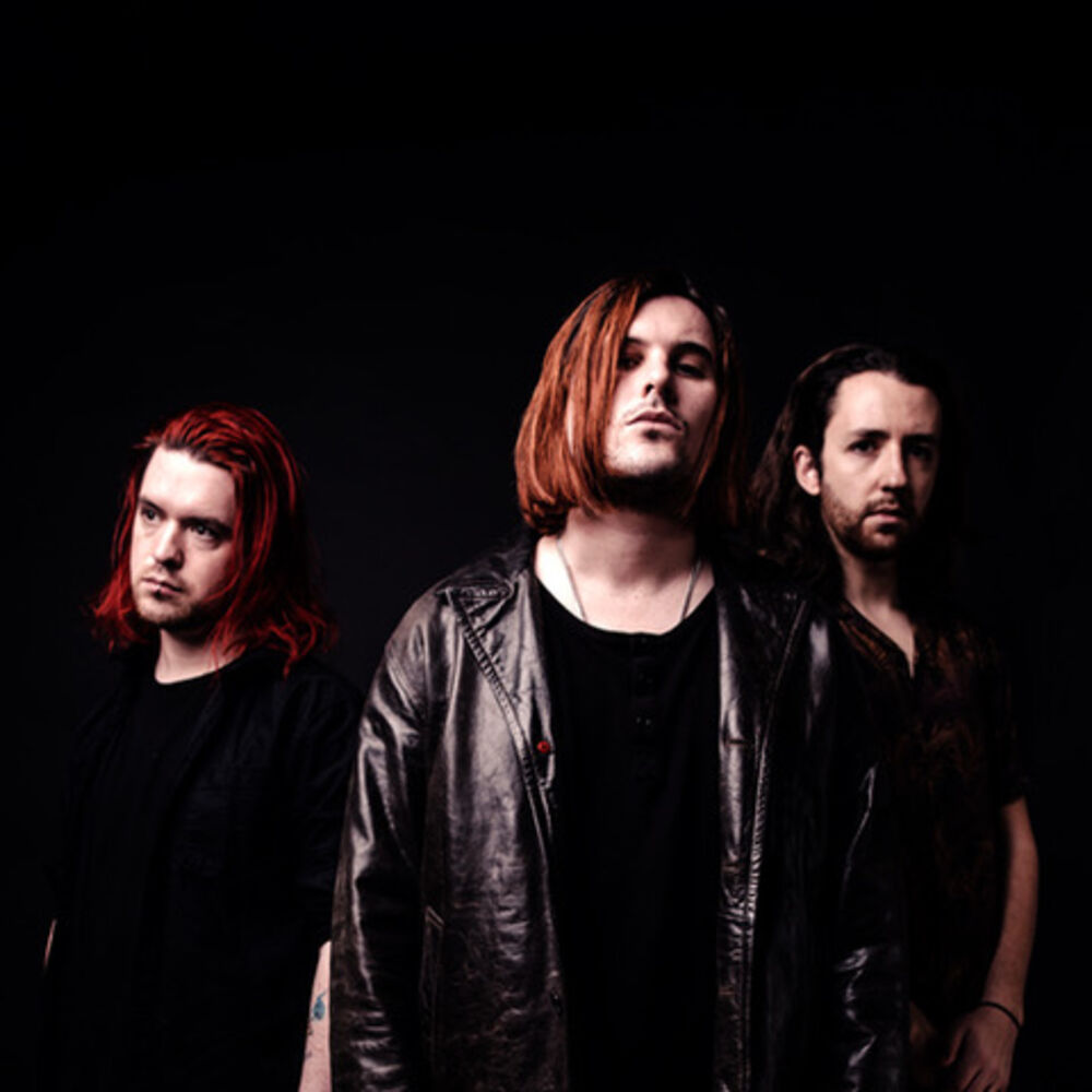 Picture of Fangclub