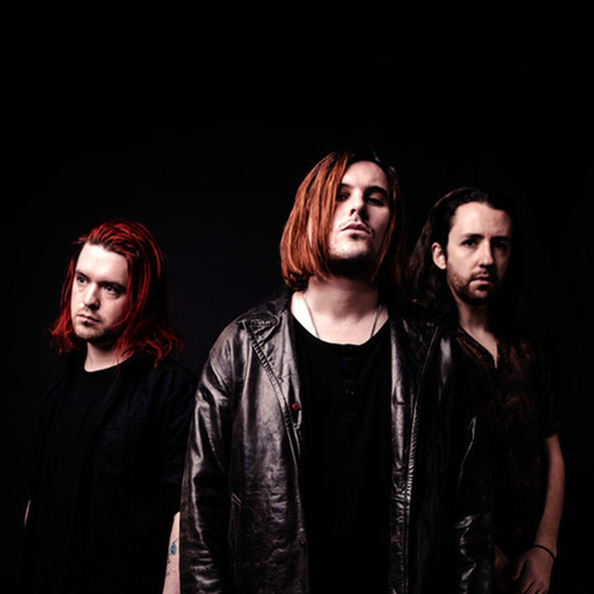 Artist picture of Fangclub