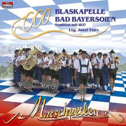 Picture of Blaskapelle Bad Bayersoien