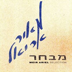 Picture of Meir Ariel