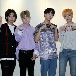 Picture of N.Flying