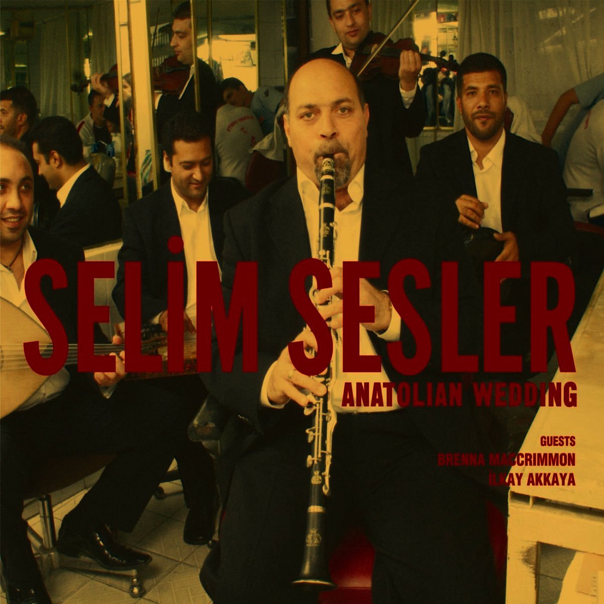 Artist picture of Selim Sesler