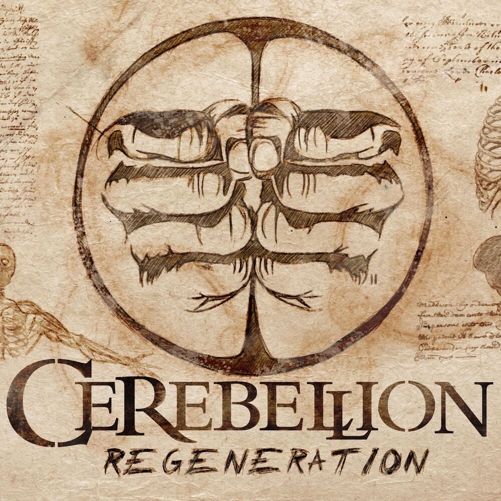 Picture of Cerebellion