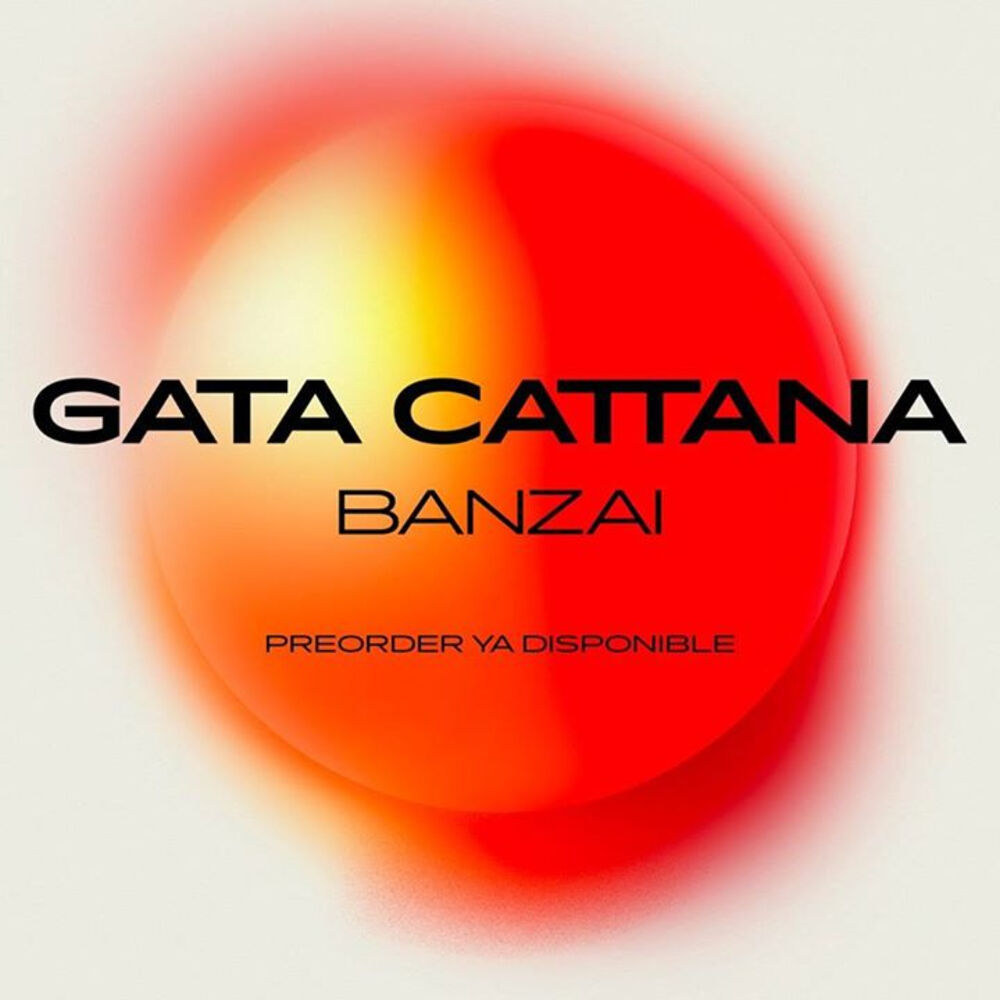 Picture of Gata Cattana