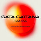 Gata Cattana