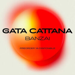 Picture of Gata Cattana