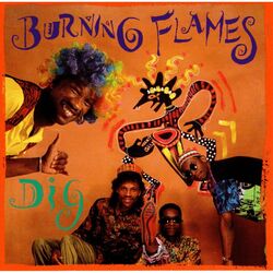 Picture of Burning Flames