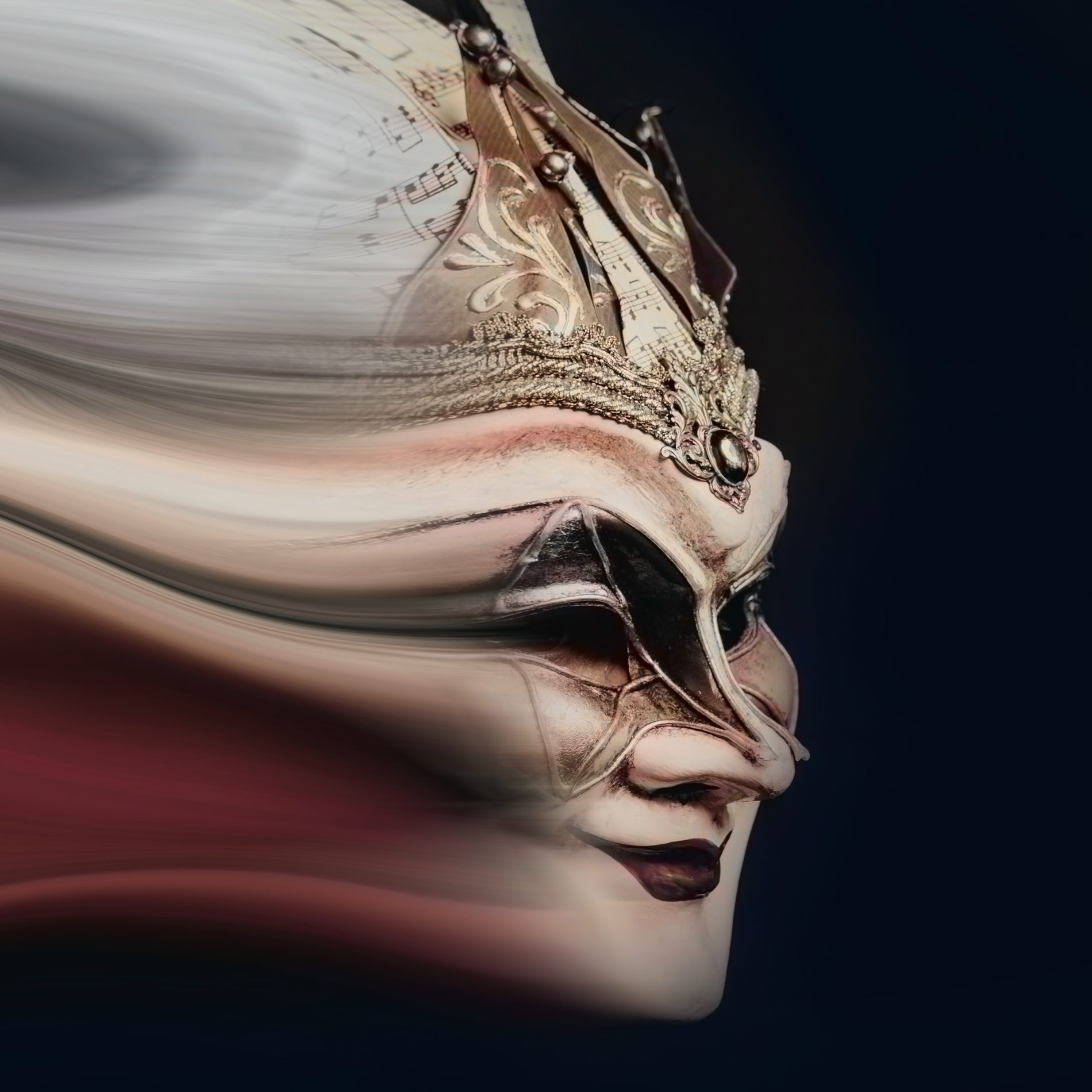 Artist picture of Boris Brejcha