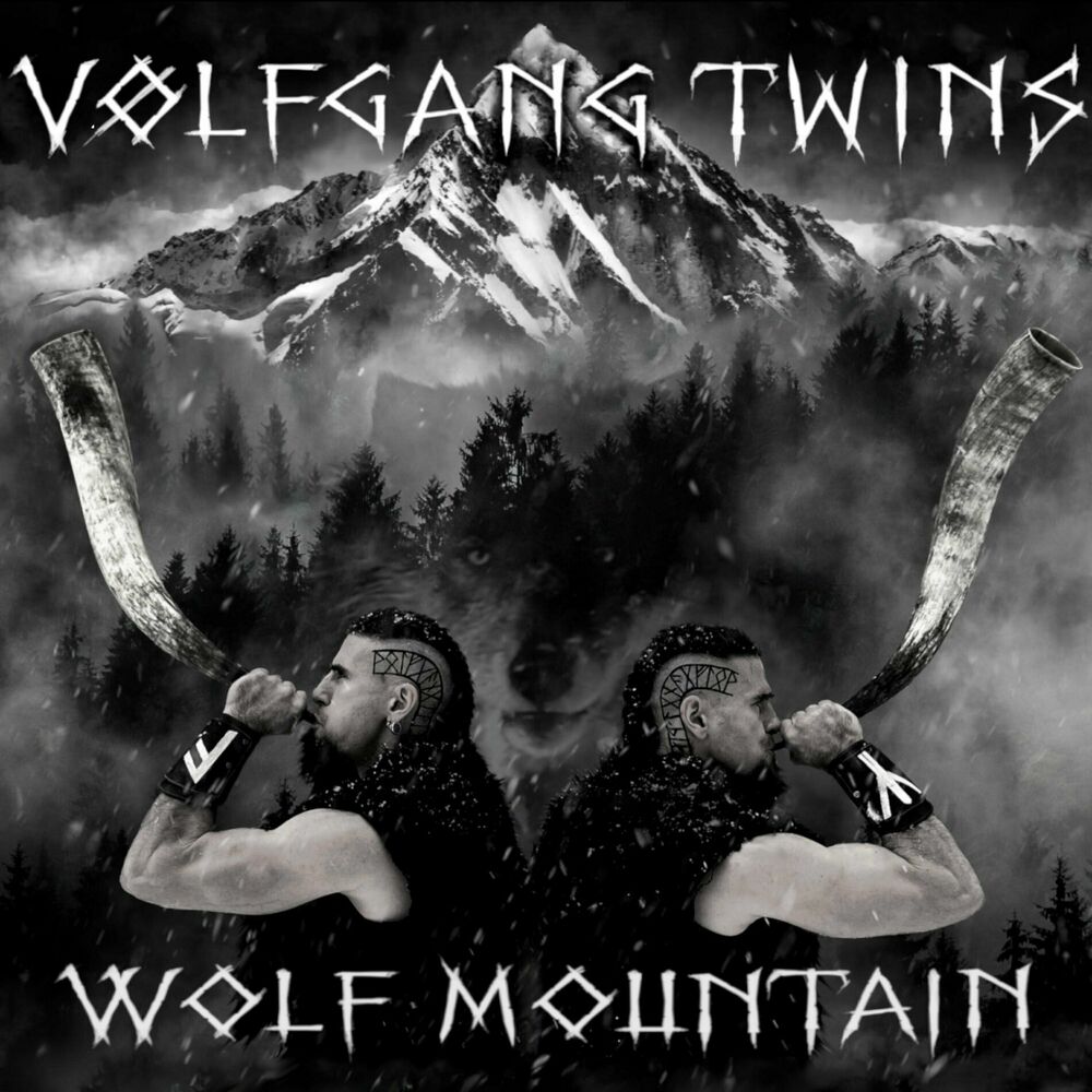 Picture of Volfgang Twins