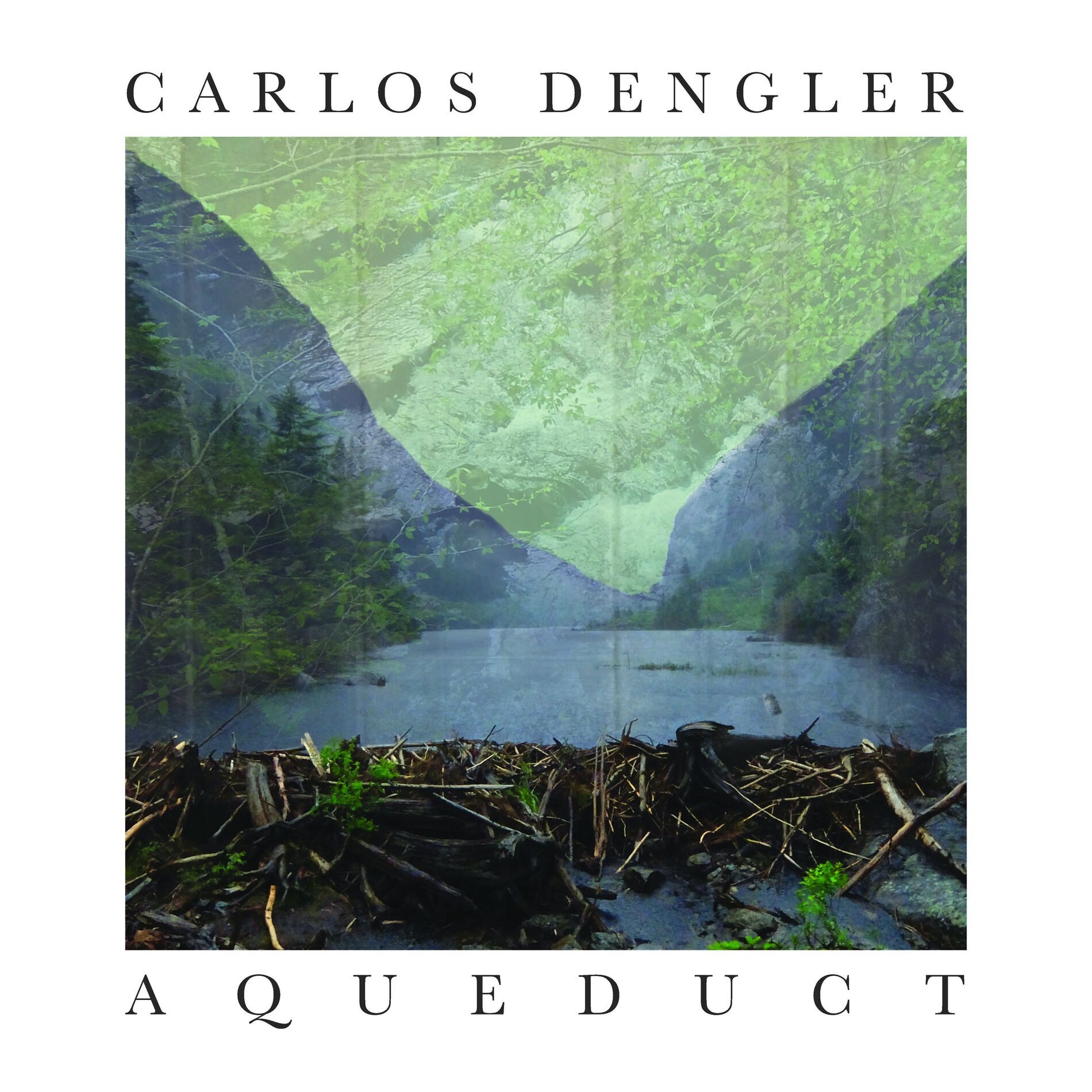 Artist picture of Carlos Dengler