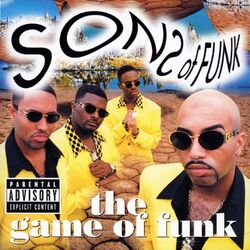 Picture of Sons Of Funk