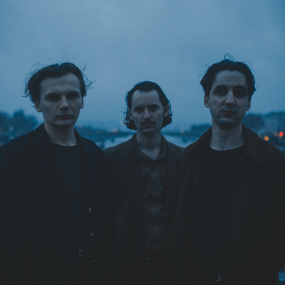 Photo de l'artiste You Said Strange