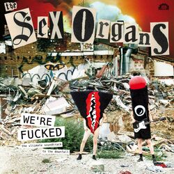 Picture of The Sex Organs