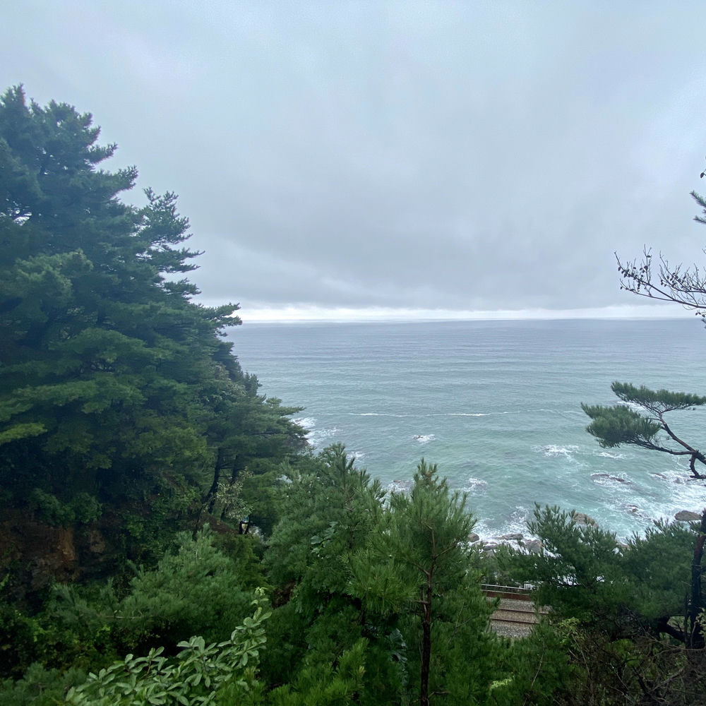 Photo de l'artiste Sonatine