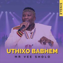 Picture of Mr Vee Sholo