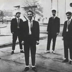 Picture of Bez ladu a skladu