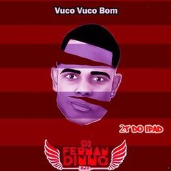 Picture of Dj Fernandinho B20