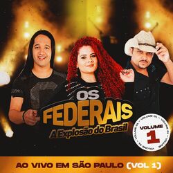 Picture of Os Federais
