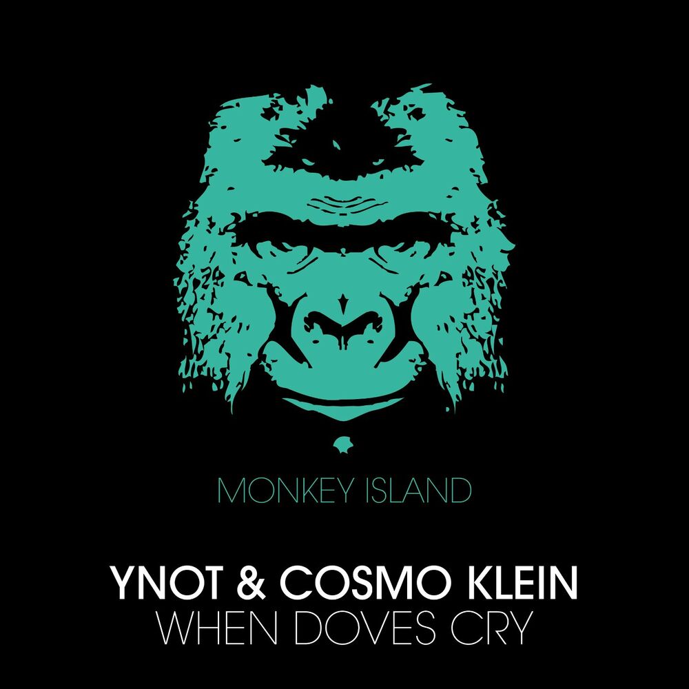 Picture of YNOT