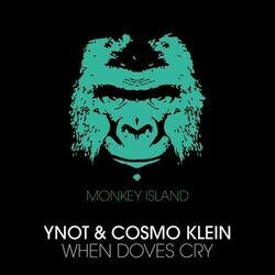 Picture of YNOT