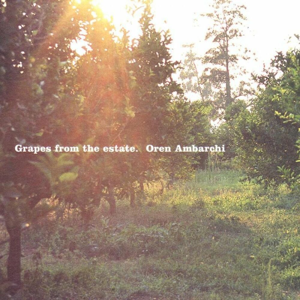 Picture of Oren Ambarchi