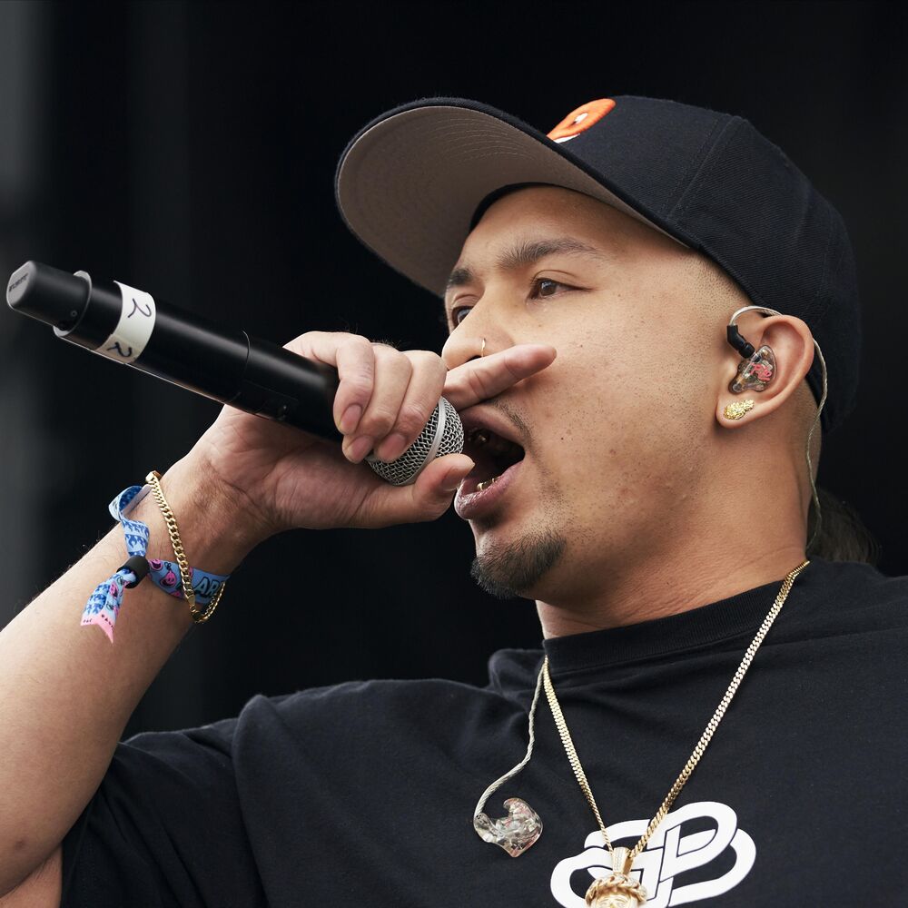 Picture of P-LO