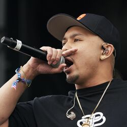 Picture of P-LO