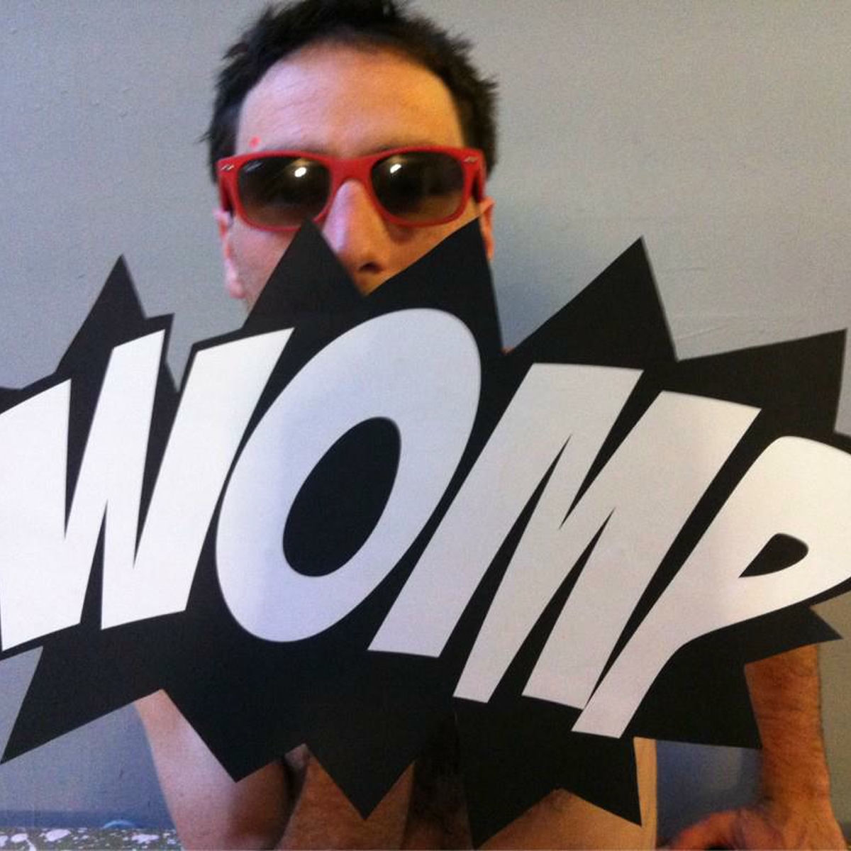 Artist picture of Sam and the Womp