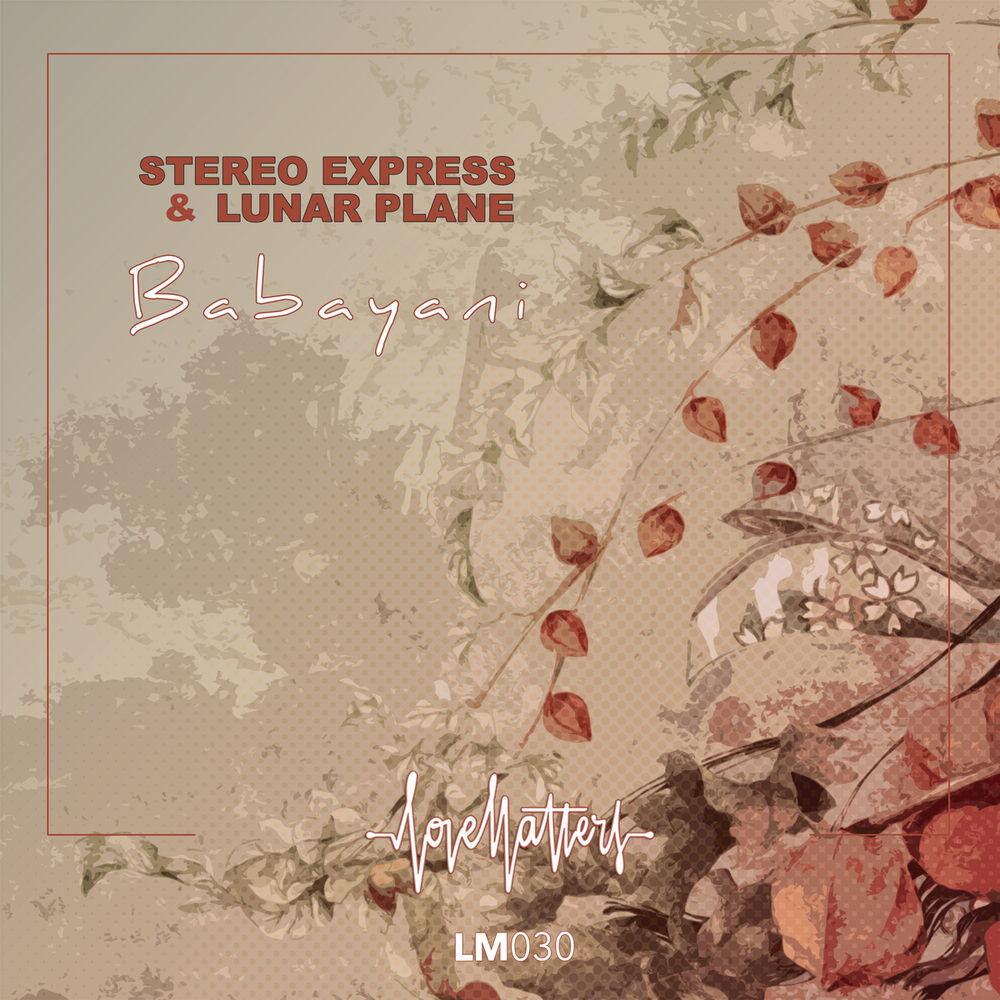 Picture of Stereo Express, Lunar Plane