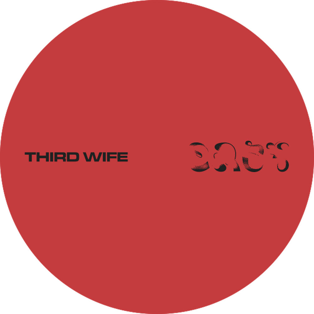 Picture of THIRD WIFE