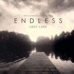 Picture of Endless
