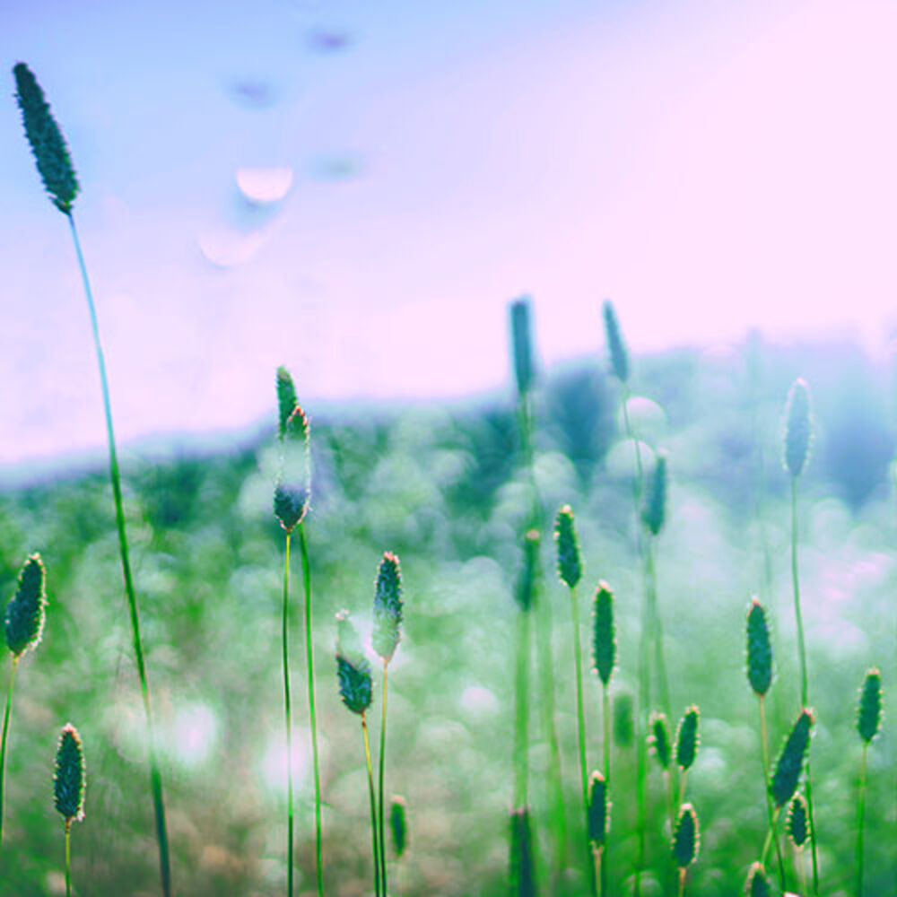 Picture of Nature Sound Collection