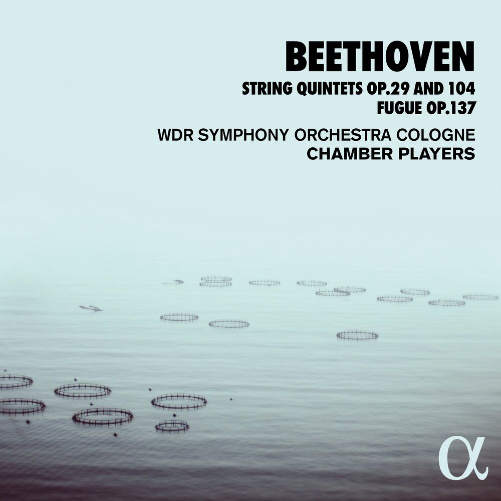 Picture of WDR Symphony Orchestra Cologne Chamber Players