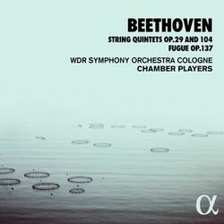 Picture of WDR Symphony Orchestra Cologne Chamber Players