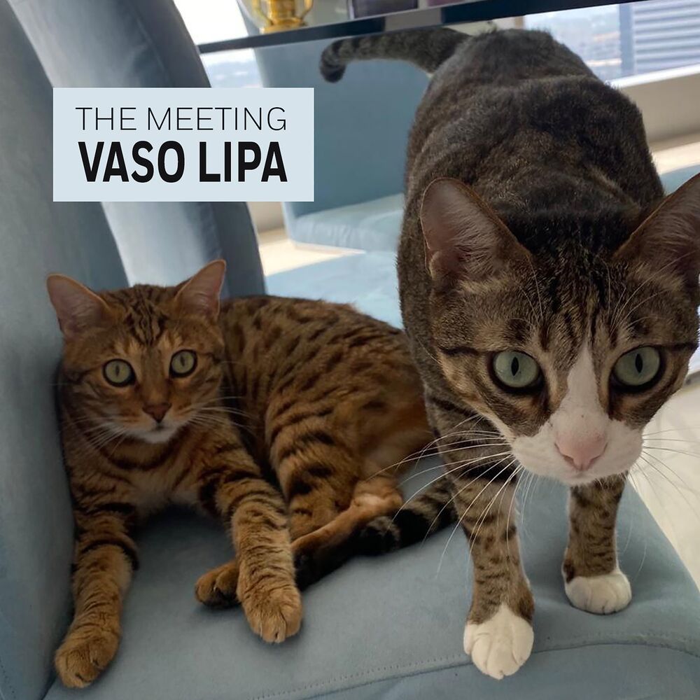 Picture of Vaso Lipa