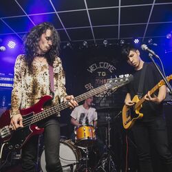 Picture of Ausmuteants