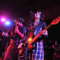 Picture of American Music Club
