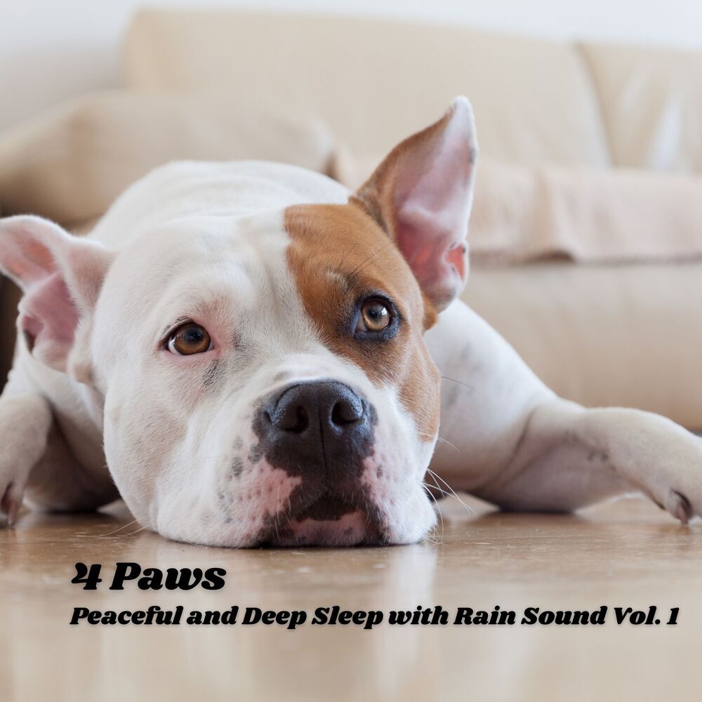 Picture of Smooth Jazz Relax