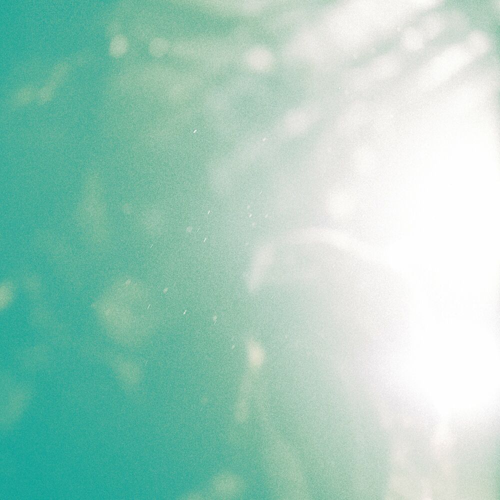 Picture of Waterweed