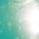 Waterweed