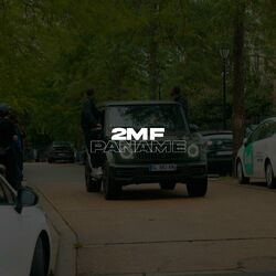 Picture of 2MF