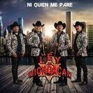 La Ley De Michoacan