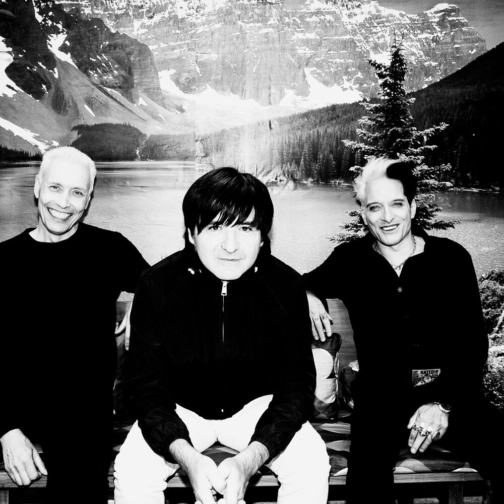 Picture of Die Ärzte