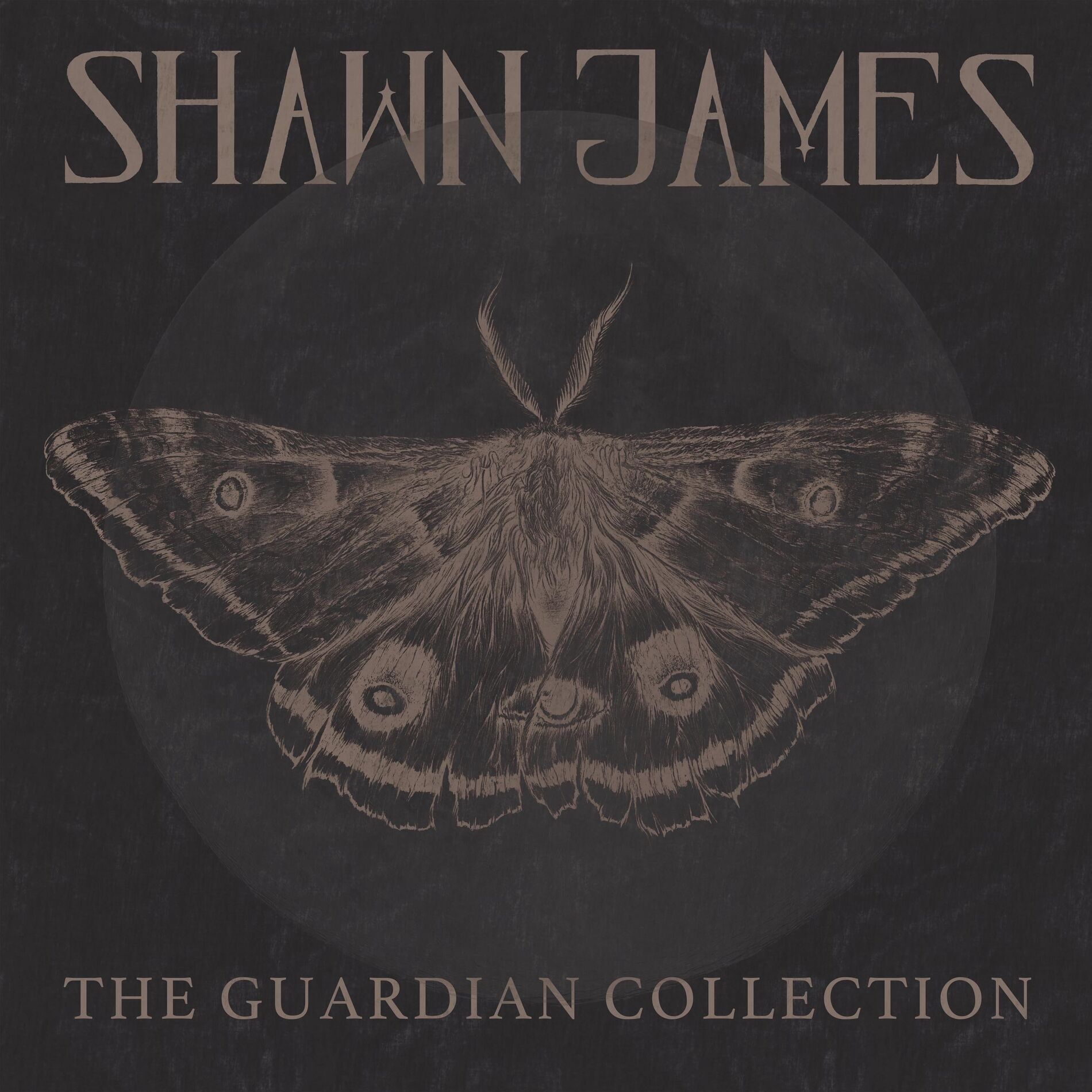 Shawn James