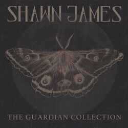 Shawn James