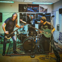 Picture of Toehider