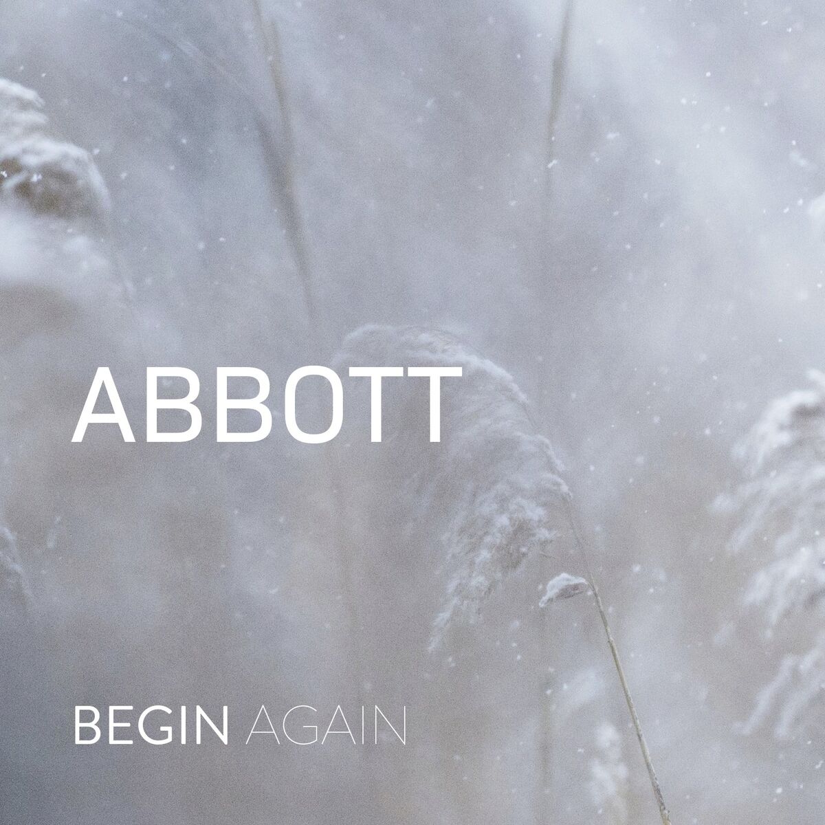 Abbott