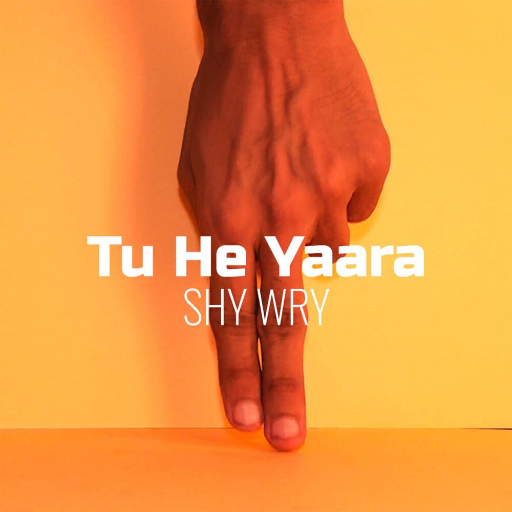 Picture of Shy Wry